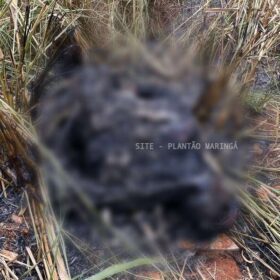 Criminoso mata homem coloca corpo em mala e ateia fogo em Paiçandu Foto 4 Fotos de Criminoso mata homem coloca corpo em mala e ateia fogo em Paiçandu