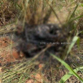 Homem encontrado carbonizado dentro de mala em Paiçandu era motoboy de Maringá Foto 2 Fotos de Homem encontrado carbonizado dentro de mala em Paiçandu era motoboy de Maringá