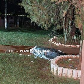 Jovens que morreram em tiroteio durante festa clandestina em Maringá, eram amigos de facebook Foto 13 Fotos de Jovens que morreram em tiroteio durante festa clandestina em Maringá, eram amigos de facebook