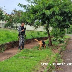 Perseguição termina em acidente e troca de tiros entre criminoso e agentes da Guarda Civil Municipal de Sarandi Foto 12 Fotos de Perseguição termina em acidente e troca de tiros entre criminoso e agentes da Guarda Civil Municipal de Sarandi