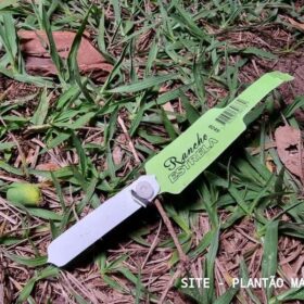 Vídeo mostra amigos abandonando corpo de rapaz morto em tiroteio durante festa clandestina em Maringá Foto 9 Fotos de Vídeo mostra amigos abandonando corpo de rapaz morto em tiroteio durante festa clandestina em Maringá