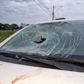 Homem é intubado após ser atropelado e ir parar em cima de carro em Maringá Foto 1 Fotos de Homem é intubado após ser atropelado e ir parar em cima de carro em Maringá