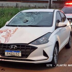 Homem é intubado após ser atropelado e ir parar em cima de carro em Maringá Foto 4 Fotos de Homem é intubado após ser atropelado e ir parar em cima de carro em Maringá