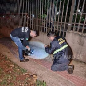 Jovem morre em acidente de moto logo após deixar a casa da namorada, em Maringá Foto 8 Fotos de Jovem morre em acidente de moto logo após deixar a casa da namorada, em Maringá