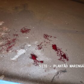 Acidente de bicicleta deixa mulher de 36 anos ferida em Maringá Foto 5 Fotos de Acidente de bicicleta deixa mulher de 36 anos ferida em Maringá