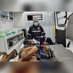 Cachorro invade ambulância do Samu para acompanhar dona em atendimento, em Maringá Foto 1 Fotos de Cachorro invade ambulância do Samu para acompanhar dona em atendimento, em Maringá
