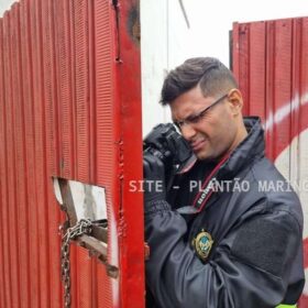 Choque prende homem que matou amigo com golpes de machado em Maringá Foto 5 Fotos de Choque prende homem que matou amigo com golpes de machado em Maringá