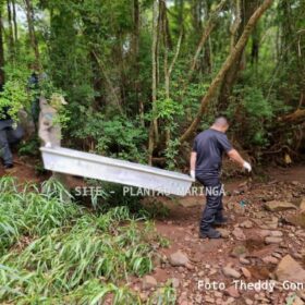 Corpo de homem é encontrado em córrego em Maringá Foto 2 Fotos de Corpo de homem é encontrado em córrego em Maringá