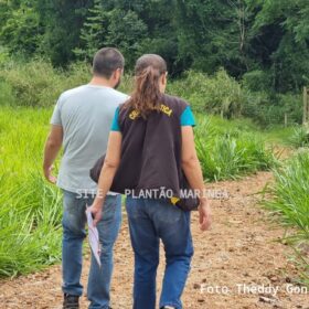 Corpo de homem é encontrado em córrego em Maringá Foto 3 Fotos de Corpo de homem é encontrado em córrego em Maringá