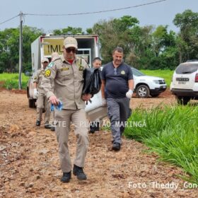 Corpo de homem é encontrado em córrego em Maringá Foto 1 Fotos de Corpo de homem é encontrado em córrego em Maringá
