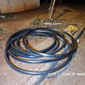 GCM de Maringá apreende grande quantidade de cabos de fibra óptica Foto 6 Fotos de GCM de Maringá apreende grande quantidade de cabos de fibra óptica