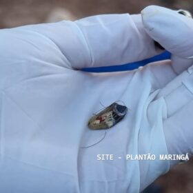 Homem é executado com tiro na cabeça ao lado de uma igreja católica em Maringá Foto 11 Fotos de Homem é executado com tiro na cabeça ao lado de uma igreja católica em Maringá
