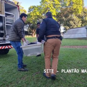 Homem é executado com tiro na cabeça ao lado de uma igreja católica em Maringá Foto 12 Fotos de Homem é executado com tiro na cabeça ao lado de uma igreja católica em Maringá