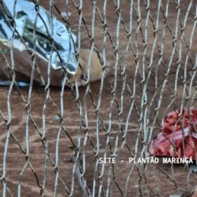 Homem executado com tiro na cabeça ao lado de Igreja em Maringá é identificado Foto 14 Fotos de Homem executado com tiro na cabeça ao lado de Igreja em Maringá é identificado