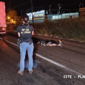 Idosa morre atropelada por caminhão em Sarandi Foto 10 Fotos de Idosa morre atropelada por caminhão em Sarandi