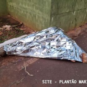 No dia dos finados, criminosos invadem cemitério de Maringá matam um e deixa outro gravemente ferido Foto 10 Fotos de No dia dos finados, criminosos invadem cemitério de Maringá matam um e deixa outro gravemente ferido