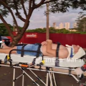 Fotos de Árvore parte ao meio após ser atingida por carro em Maringá