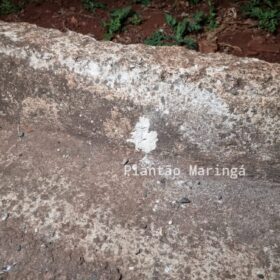 Homem é morto com requintes de crueldade em Sarandi, um outro rapaz foi baleado Foto 6 Fotos de Homem é morto com requintes de crueldade em Sarandi, um outro rapaz foi baleado