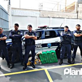 Fotos de Guarda Civil Municipal de Sarandi apreende 115 quilos de maconha