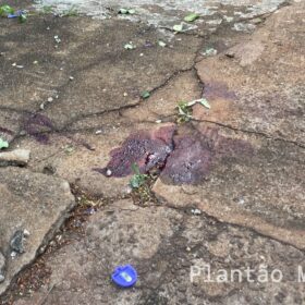 Fotos de Mulher fica ferida após atentado a tiros em Marialva 