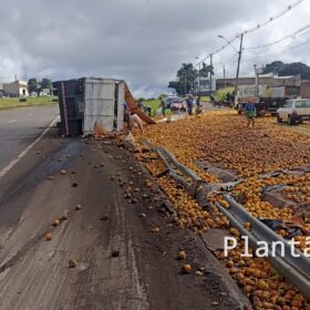 Carreta carregada com laranja tomba no Contorno Norte em Maringá e carga é saqueada Foto 1 Fotos de Carreta carregada com laranja tomba no Contorno Norte em Maringá e carga é saqueada