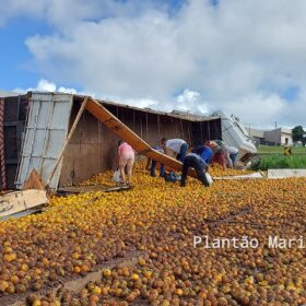 Carreta carregada com laranja tomba no Contorno Norte em Maringá e carga é saqueada Foto 11 Fotos de Carreta carregada com laranja tomba no Contorno Norte em Maringá e carga é saqueada