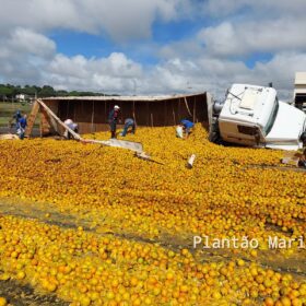 Carreta carregada com laranja tomba no Contorno Norte em Maringá e carga é saqueada Foto 4 Fotos de Carreta carregada com laranja tomba no Contorno Norte em Maringá e carga é saqueada