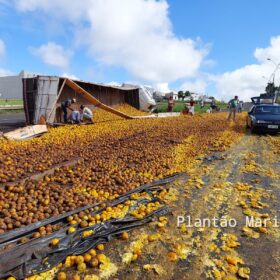 Carreta carregada com laranja tomba no Contorno Norte em Maringá e carga é saqueada Foto 8 Fotos de Carreta carregada com laranja tomba no Contorno Norte em Maringá e carga é saqueada