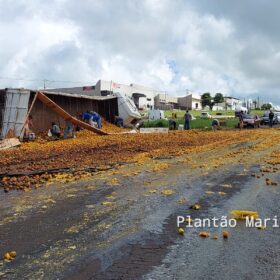 Carreta carregada com laranja tomba no Contorno Norte em Maringá e carga é saqueada Foto 9 Fotos de Carreta carregada com laranja tomba no Contorno Norte em Maringá e carga é saqueada