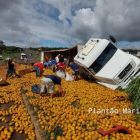 Carreta carregada com laranja tomba no Contorno Norte em Maringá e carga é saqueada Foto 10 Fotos de Carreta carregada com laranja tomba no Contorno Norte em Maringá e carga é saqueada