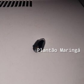 Criminosos atiram contra vítima durante roubo de veículo em Maringá Foto 5 Fotos de Criminosos atiram contra vítima durante roubo de veículo em Maringá