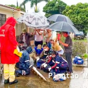 Motociclista avança preferencial e é atingido por carro em Maringá Foto 13 Fotos de Motociclista avança preferencial e é atingido por carro em Maringá