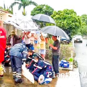 Motociclista avança preferencial e é atingido por carro em Maringá Foto 14 Fotos de Motociclista avança preferencial e é atingido por carro em Maringá
