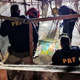PRF apreende carga de droga estimada em R$ 31 milhões que seria entrega em Maringá Foto 1 Fotos de PRF apreende carga de droga estimada em R$ 31 milhões que seria entrega em Maringá