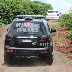Troca de tiros com a Polícia Militar de Maringá, termina com um assaltante baleado em Mandaguari Foto 6 Fotos de Troca de tiros com a Polícia Militar de Maringá, termina com um assaltante baleado em Mandaguari