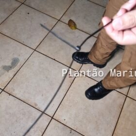 Casal de idosos é agredido e amarrado durante assalto em Maringá Foto 9 Fotos de Casal de idosos é agredido e amarrado durante assalto em Maringá