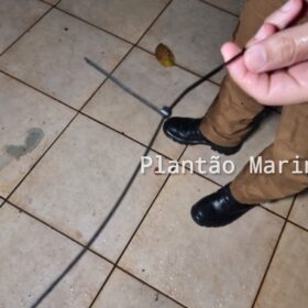 Casal de idosos é agredido e amarrado durante assalto em Maringá Foto 10 Fotos de Casal de idosos é agredido e amarrado durante assalto em Maringá