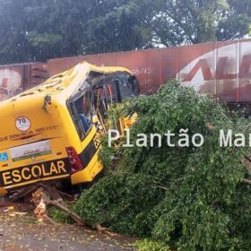 Identificadas as vítimas do trágico acidente envolvendo uma locomotiva e um ônibus escolar em Jandaia do Sul Foto 17 Fotos de Identificadas as vítimas do trágico acidente envolvendo uma locomotiva e um ônibus escolar em Jandaia do Sul