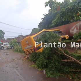 Identificadas as vítimas do trágico acidente envolvendo uma locomotiva e um ônibus escolar em Jandaia do Sul Foto 8 Fotos de Identificadas as vítimas do trágico acidente envolvendo uma locomotiva e um ônibus escolar em Jandaia do Sul