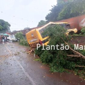 Identificadas as vítimas do trágico acidente envolvendo uma locomotiva e um ônibus escolar em Jandaia do Sul Foto 9 Fotos de Identificadas as vítimas do trágico acidente envolvendo uma locomotiva e um ônibus escolar em Jandaia do Sul