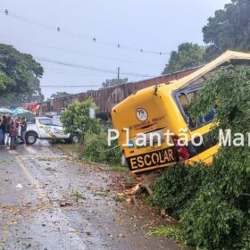 Identificadas as vítimas do trágico acidente envolvendo uma locomotiva e um ônibus escolar em Jandaia do Sul Foto 6 Fotos de Identificadas as vítimas do trágico acidente envolvendo uma locomotiva e um ônibus escolar em Jandaia do Sul
