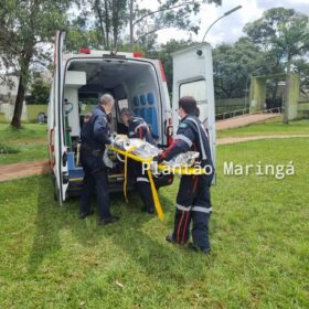 Identificadas as vítimas do trágico acidente envolvendo uma locomotiva e um ônibus escolar em Jandaia do Sul Foto 3 Fotos de Identificadas as vítimas do trágico acidente envolvendo uma locomotiva e um ônibus escolar em Jandaia do Sul