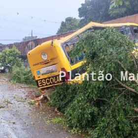 Identificadas as vítimas do trágico acidente envolvendo uma locomotiva e um ônibus escolar em Jandaia do Sul Foto 16 Fotos de Identificadas as vítimas do trágico acidente envolvendo uma locomotiva e um ônibus escolar em Jandaia do Sul