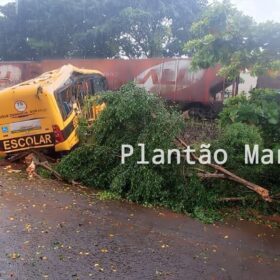 Identificadas as vítimas do trágico acidente envolvendo uma locomotiva e um ônibus escolar em Jandaia do Sul Foto 15 Fotos de Identificadas as vítimas do trágico acidente envolvendo uma locomotiva e um ônibus escolar em Jandaia do Sul