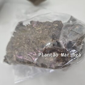 Homem com três mandados de prisão em aberto e já condenado a 24 anos de cadeia é preso com drogas e armas em Maringá Foto 9 Fotos de Homem com três mandados de prisão em aberto e já condenado a 24 anos de cadeia é preso com drogas e armas em Maringá