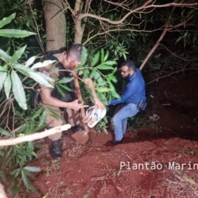 Homem que foi baleado e obrigado cavar à própria cova em Sarandi, é transferido para região Foto 8 Fotos de Homem que foi baleado e obrigado cavar à própria cova em Sarandi, é transferido para região