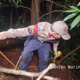 Homem que foi baleado e obrigado cavar à própria cova em Sarandi, é transferido para região Foto 5 Fotos de Homem que foi baleado e obrigado cavar à própria cova em Sarandi, é transferido para região