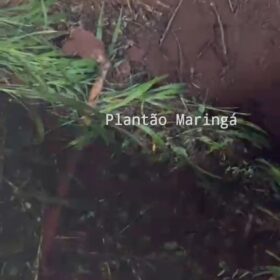 Polícia Civil divulga foto de suspeito que tentou matar e enterrar homem em Sarandi Foto 3 Fotos de Polícia Civil divulga foto de suspeito que tentou matar e enterrar homem em Sarandi