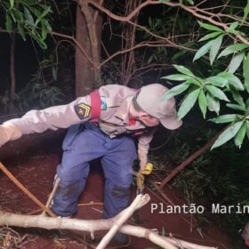 Polícia Civil divulga foto de suspeito que tentou matar e enterrar homem em Sarandi Foto 26 Fotos de Polícia Civil divulga foto de suspeito que tentou matar e enterrar homem em Sarandi