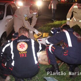 Idoso de 71 anos é socorrido com ferimentos graves após ser atropelado em Maringá Foto 16 Fotos de Idoso de 71 anos é socorrido com ferimentos graves após ser atropelado em Maringá
